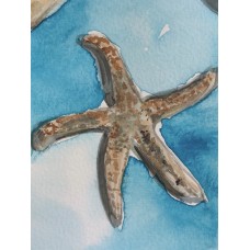 Seashells — Original Watercolor Painting by Marina Stognieva | Crimea | Picturesque Guide to Ukraine Seashells — Original Watercolor Painting by Marina Stognieva | Crimea | Picturesque Guide to Ukraine